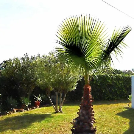 Oura By Stay-ici, Algarve Holiday
